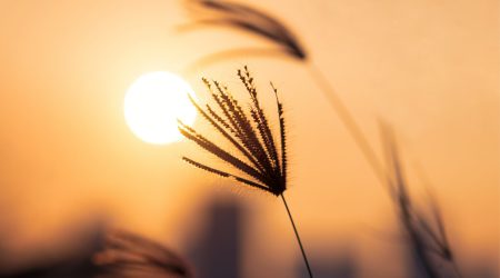 dapiki-moto-KRIQ8aidIQE-unsplash