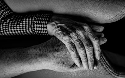 gert-stockmans-n85taMiq0S4-unsplash